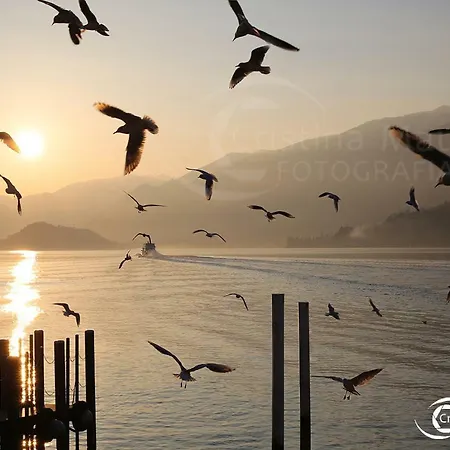 Dreams Apt, Pool, With Private Garden, Near ベッラージョ