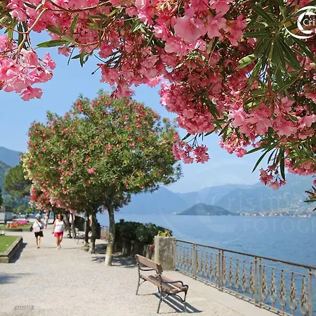 Dreams Apt, Pool, With Private Garden, Near Bellagio