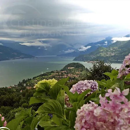 Lägenhet Dreams Apt, Pool, With Private Garden, Near