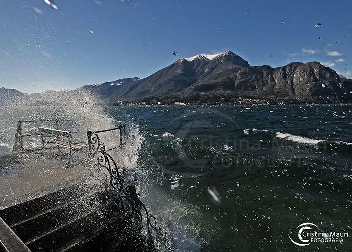 Apartment Dreams Apt, Pool, With Private Garden, Near